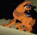 Wildmutt 2.jpg